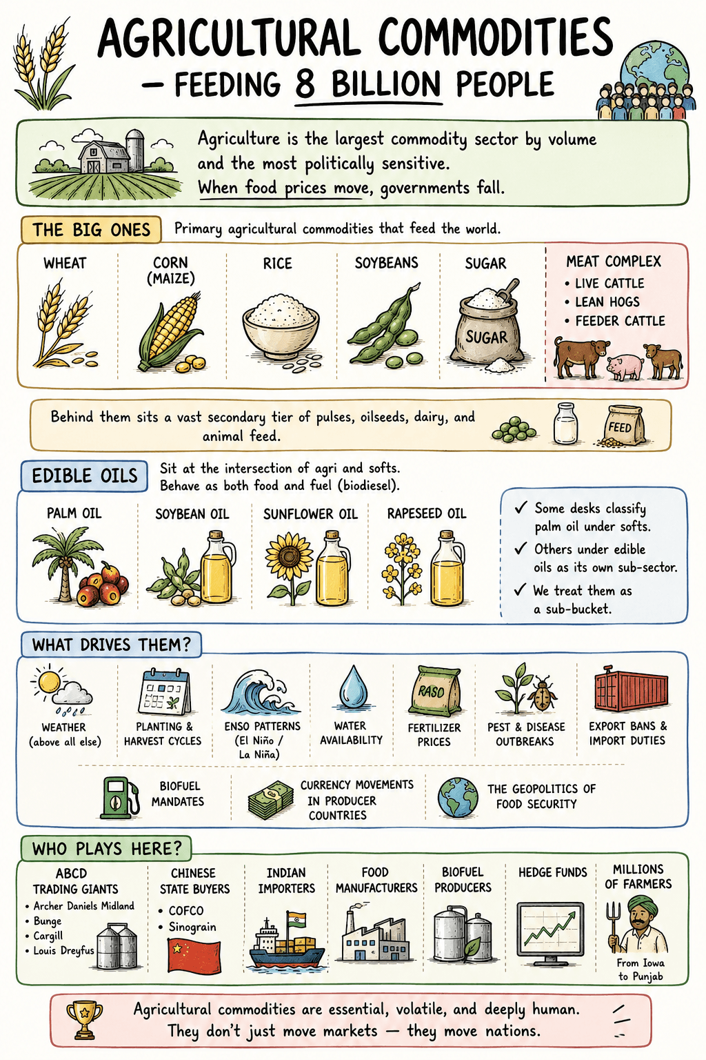 Agricultural Commodities — Feeding 8 Billion People